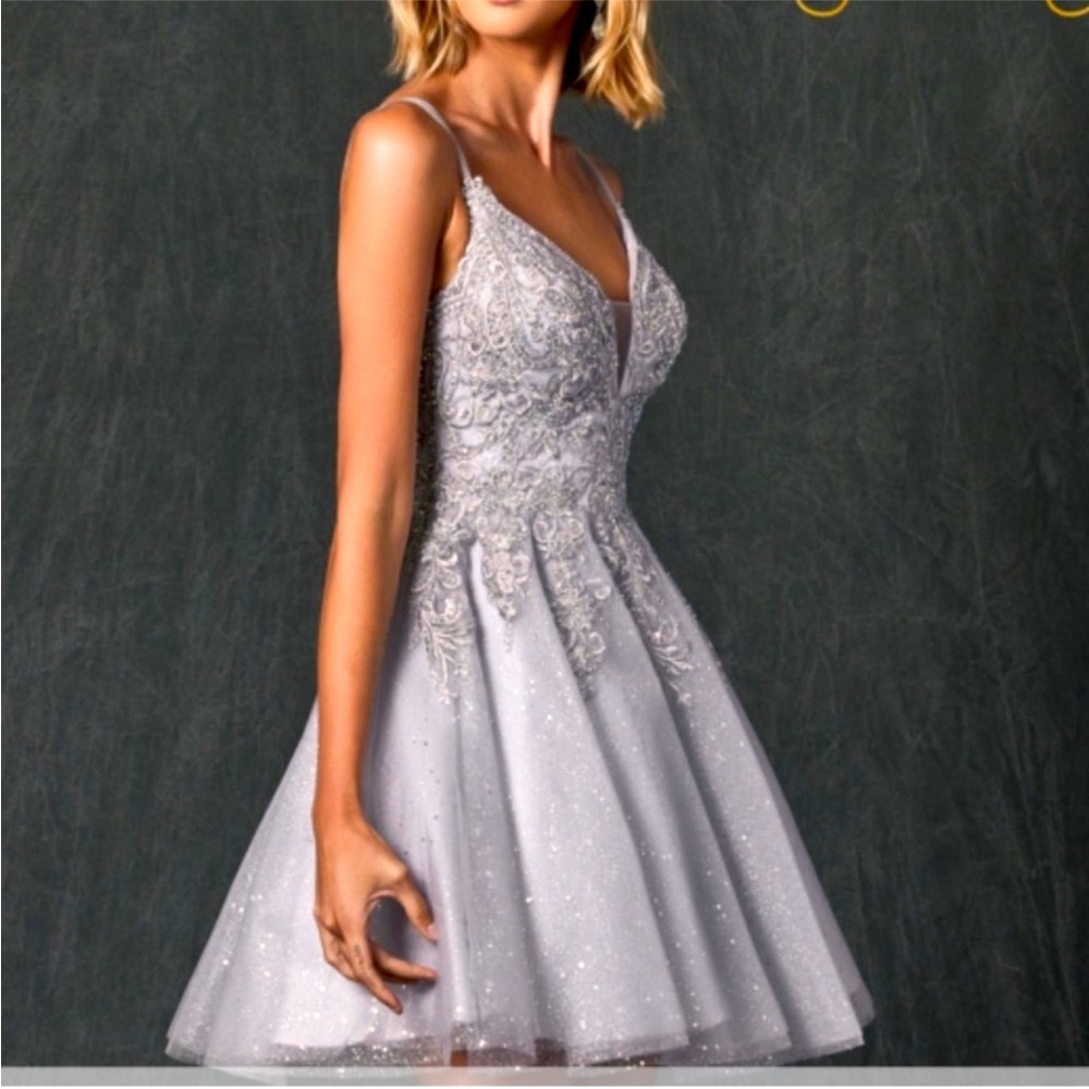 Camille La Vie - New with Tag 🏷️ - Silver Rhinestones Cocktail Dress - Small